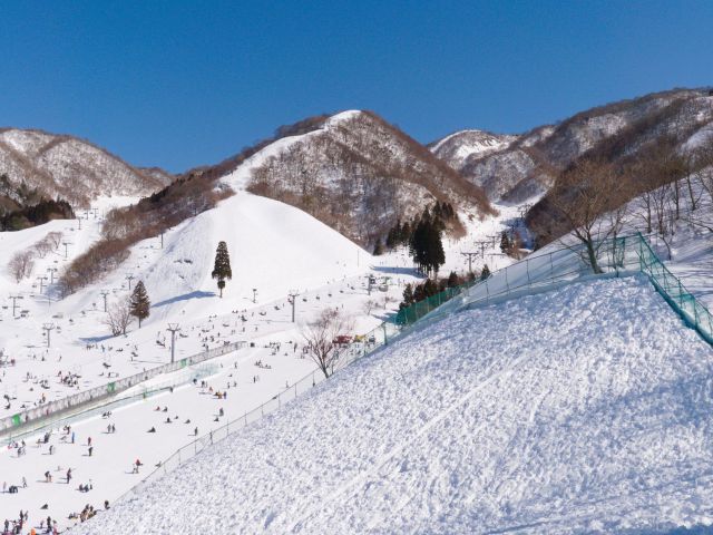 計画をトラブルなく速やかに立てられるスキーツアー